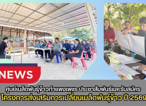 กำแพงเพชร-ศูนย์เมล็ดพันธุ์ข้าวกำแพงเพชรประชาสัมพันธ์และรับสมัครโครงการส่งเสริมการเปลี่ยนเมล็ดพันธุ์ข้าว ปี 2569