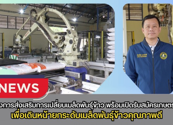 กำแพงเพชร-ศูนย์เมล็ดพันธุ์ข้าวกำแพงเพชร จัดโครงการส่งเสริมการเปลี่ยนเมล็ดพันธุ์ข้าว พร้อมเปิดรับสมัครเกษตรกร เพื่อเดินหน้ายกระดับเมล็ดพันธุ์ข้าวคุณภาพดี