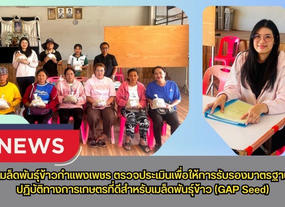 กำแพงเพชร-ศูนย์เมล็ดพันธุ์ข้าวกำแพงเพชร ตรวจประเมินเพื่อให้การรับรองมาตรฐานการปฏิบัติทางการเกษตรที่ดีสำหรับเมล็ดพันธุ์ข้าว (GAP Seed)