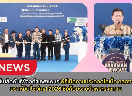 กำแพงเพชร-ศูนย์เมล็ดพันธุ์ข้าวกำแพงเพชร พิธีเปิดงานประกวดโคเนื้อ คลองขลุง บราห์มัน โชว์เคส 2026 ชิงถ้วยรางวัลพระราชทาน