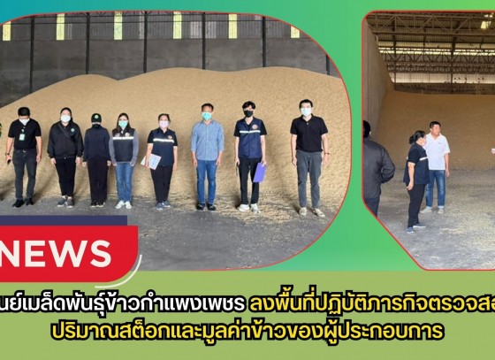 กำแพงเพชร-ศูนย์เมล็ดพันธุ์ข้าวกำแพงเพชร ลงพื้นที่ปฏิบัติภารกิจตรวจสอบปริมาณสต็อกและมูลค่าข้าวของผู้ประกอบการ
