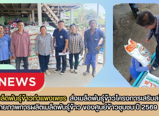 กำแพงเพชร-ศูนย์เมล็ดพันธุ์ข้าวกำแพงเพชร ส่งเมล็ดพันธุ์ข้าวโครงการเสริมสร้างศักยภาพการผลิตเมล็ดพันธุ์ข้าวของศูนย์ข้าวชุมชน ปี2569