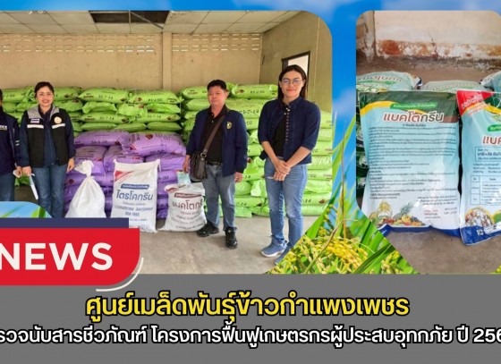 กำแพงเพชร-ศูนย์เมล็ดพันธุ์ข้าวกำแพงเพชร ตรวจนับสารชีวภัณฑ์ ปุ๋ยอินทรีย์เหลว (ชนิดน้ำ) และปุ๋ยเคมี โครงการฟื้นฟูเกษตรกรผู้ประสบอุทกภัย ปี 2567
