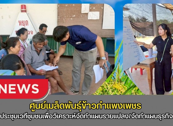 กำแพงเพชร-ศูนย์เมล็ดพันธุ์ข้าวกำแพงเพชร ประชุมเวทีชุมชนเพื่อวิเคราะห์จัดทำแผนรายแปลง/จัดทำแผนธุรกิจ/ปรับปรุงข้อมูลพื้นฐานแปลงใหญ่