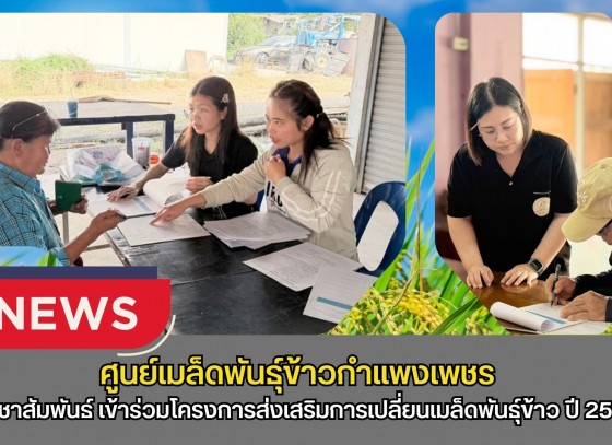 กำแพงเพชร-ศูนย์เมล็ดพันธุ์ข้าวกำแพงเพชร ประชาสัมพันธ์และรับสมัครเกษตรกรเข้าร่วมโครงการส่งเสริมการเปลี่ยนเมล็ดพันธุ์ข้าว ปี 2569