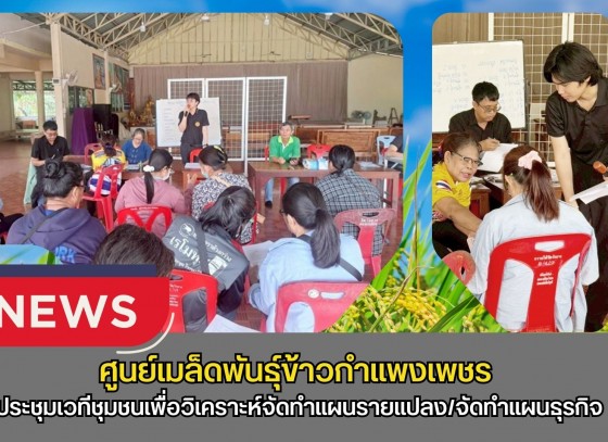 กำแพงเพชร-ศูนย์เมล็ดพันธุ์ข้าวกำแพงเพชร ประชุมเวทีชุมชนเพื่อวิเคราะห์จัดทำแผนรายแปลง/จัดทำแผนธุรกิจ/ปรับปรุงข้อมูลพื้นฐานแปลงใหญ่