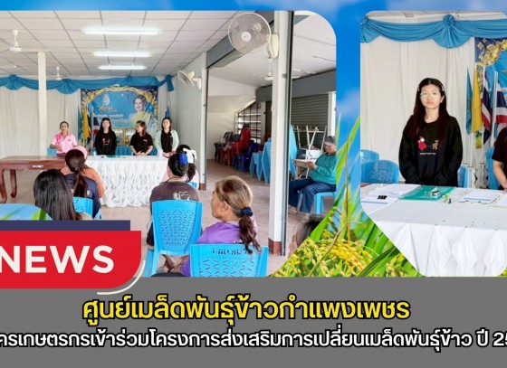 กำแพงเพชร-ศูนย์เมล็ดพันธุ์ข้าวกำแพงเพชร ประชาสัมพันธ์และรับสมัครเกษตรกรเข้าร่วมโครงการส่งเสริมการเปลี่ยนเมล็ดพันธุ์ข้าว ปี 2569