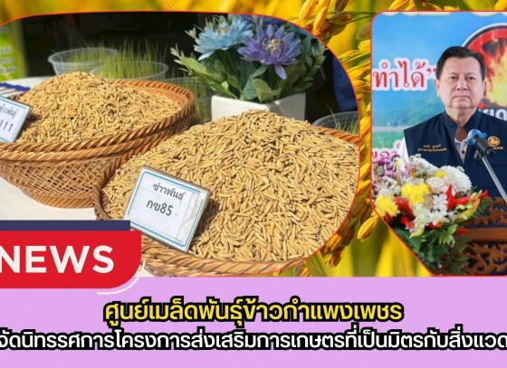 กำแพงเพชร-ศูนย์เมล็ดพันธุ์ข้าวกำแพงเพชร ดำเนินการติดตามให้คำแนะนำการผลิตเมล็ดพันธุ์ข้าวและผลิตข้าวคุณภาพดี