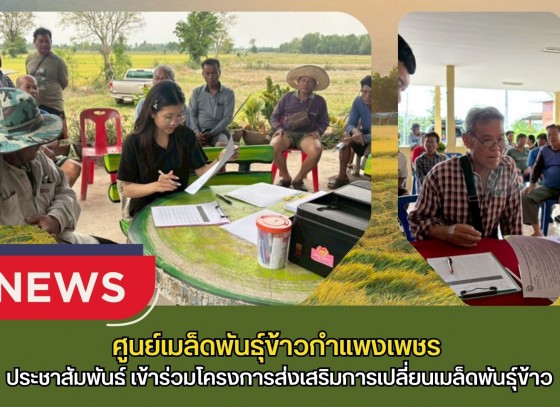 กำแพงเพชร-ศูนย์เมล็ดพันธุ์ข้าวกำแพงเพชร ประชาสัมพันธ์ และรับสมัครเกษตรกรเข้าร่วมโครงการส่งเสริมการเปลี่ยนเมล็ดพันธุ์ข้าว