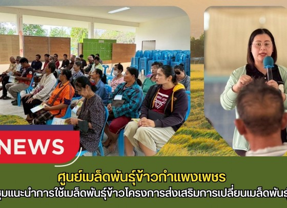 กำแพงเพชร-ศูนย์เมล็ดพันธุ์ข้าวกำแพงเพชร ประชุมแนะนำการใช้เมล็ดพันธุ์ข้าวโครงการส่งเสริมการเปลี่ยนเมล็ดพันธุ์ข้าว ปี 2569