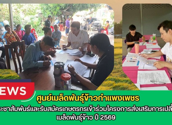 กำแพงเพชร-ศูนย์เมล็ดพันธุ์ข้าวกำแพงเพชร ประชาสัมพันธ์และรับสมัครเกษตรกรเข้าร่วมโครงการส่งเสริมการเปลี่ยนเมล็ดพันธุ์ข้าว ปี 2569