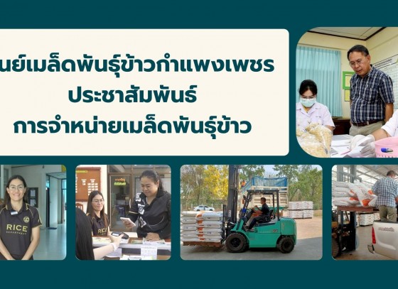 กำแพงเพชร-ศูนย์เมล็ดพันธุ์ข้าวกำแพงเพชร ประชาสัมพันธ์การจำหน่ายเมล็ดพันธุ์ข้าวให้แก่เกษตรกรและผู้ที่สนใจทั่วไป
