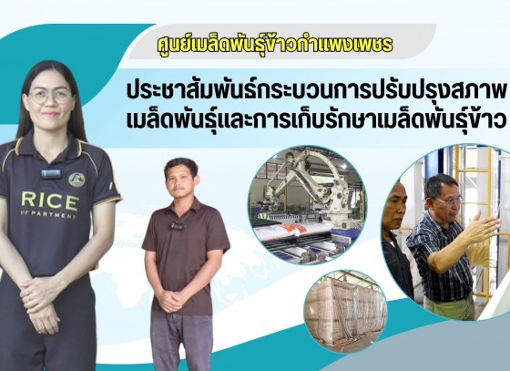 กำแพงเพชร-ศูนย์เมล็ดพันธุ์ข้าวกำแพงเพชร ประชาสัมพันธ์กระบวนการปรับปรุงสภาพเมล็ดพันธุ์ข้าว และการเก็บรักษาเมล็ดพันธุ์ข้าว 