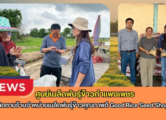 กำแพงเพชร-ศูนย์เมล็ดพันธุ์ข้าวกำแพงเพชร ติดตามร้านจำหน่ายเมล็ดพันธุ์ข้าวคุณภาพดี Good Rice Seed Shop