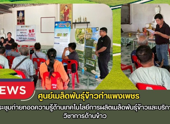 กำแพงเพชร-ศูนย์เมล็ดพันธุ์ข้าวกำแพงเพชร ประชุมถ่ายทอดความรู้ด้านเทคโนโลยีการผลิตเมล็ดพันธุ์ข้าวและบริการวิชาการด้านข้าว