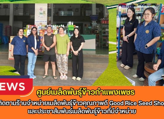 กำแพงเพชร-ศูนย์เมล็ดพันธุ์ข้าวกำแพงเพชร ติดตามร้านจำหน่ายเมล็ดพันธุ์ข้าวคุณภาพดี Good Rice Seed Shopและประชาสัมพันธ์เมล็ดพันธุ์ข้าวที่มีจำหน่าย