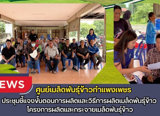 กำแพงเพชร-ศูนย์เมล็ดพันธุ์ข้าวกำแพงเพชร ประชุมชี้แจงขั้นตอนการผลิตและวิธีการผลิตเมล็ดพันธุ์ข้าว โครงการผลิตและกระจายเมล็ดพันธุ์ข้าว