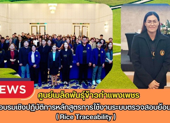 กำแพงเพชร-ศูนย์เมล็ดพันธุ์ข้าวกำแพงเพชร ร่วมอบรมเชิงปฏิบัติการหลักสูตรการใช้งานระบบตรวจสอบย้อนกลับ ( Rice Traceability )