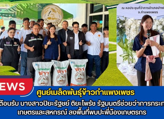 กำแพงเพชร-ศูนย์เมล็ดพันธุ์ข้าวกำแพงเพชร ร่วมต้อนรับนางสาวปิยะรัฐชย์ ติยะไพรัช รัฐมนตรีช่วยว่าการกระทรวงเกษตรและสหกรณ์ ลงพื้นที่ พบปะพี่น้องเกษตรกร