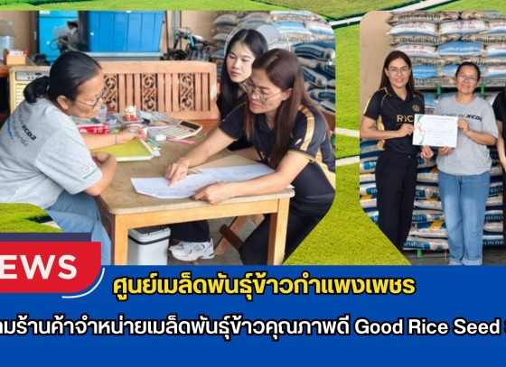 กำแพงเพชร-ศูนย์เมล็ดพันธุ์ข้าวกำแพงเพชร ติดตามร้านค้าจำหน่ายเมล็ดพันธุ์ข้าวคุณภาพดี Good Rice Seed Shop