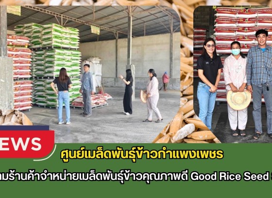 กำแพงเพชร-ศูนย์เมล็ดพันธุ์ข้าวกำแพงเพชร ติดตามร้านจำหน่ายเมล็ดพันธุ์ข้าวคุณภาพดี Good Rice Seed Shop