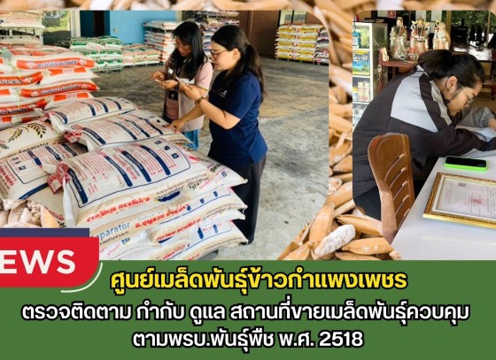 กำแพงเพชร-ศูนย์เมล็ดพันธุ์ข้าวกำแพงเพชร ตรวจติดตาม กำกับ ดูแล สถานที่ขายเมล็ดพันธุ์ควบคุม ตามพรบ.พันธุ์พืช พ.ศ. 2518