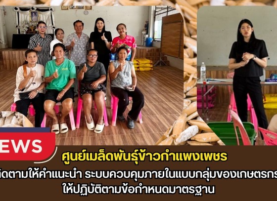 กำแพงเพชร-ศูนย์เมล็ดพันธุ์ข้าวกำแพงเพชร ติดตามให้คำแนะนำ ระบบควบคุมภายในแบบกลุ่มของเกษตรกร ให้ปฏิบัติตามข้อกำหนดมาตรฐาน