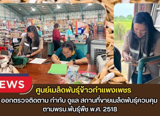 กำแพงเพชร-ศูนย์เมล็ดพันธุ์ข้าวกำแพงเพชร ออกตรวจติดตาม กำกับ ดูแล สถานที่ขายเมล็ดพันธุ์ควบคุม ตามพรบ.พันธุ์พืช พ.ศ. 2518