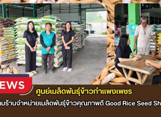กำแพงเพชร-ศูนย์เมล็ดพันธุ์ข้าวกำแพงเพชร ติดตามร้านจำหน่ายเมล็ดพันธุ์ข้าวคุณภาพดี Good Rice Seed Shop