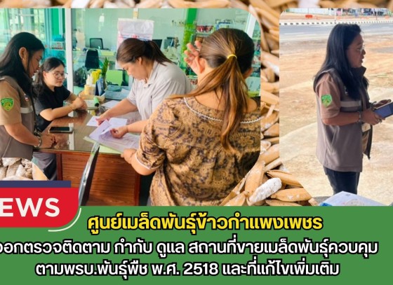 กำแพงเพชร-ศูนย์เมล็ดพันธุ์ข้าวกำแพงเพชร ออกตรวจติดตาม กำกับ ดูแล สถานที่ขายเมล็ดพันธุ์ควบคุม ตามพรบ.พันธุ์พืช พ.ศ. 2518 และที่แก้ไขเพิ่มเติม