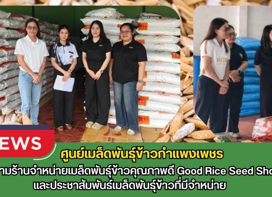กำแพงเพชร-ศูนย์เมล็ดพันธุ์ข้าวกำแพงเพชร ติดตามร้านจำหน่ายเมล็ดพันธุ์ข้าวคุณภาพดี Good Rice Seed Shopและประชาสัมพันธ์เมล็ดพันธุ์ข้าวที่มีจำหน่าย