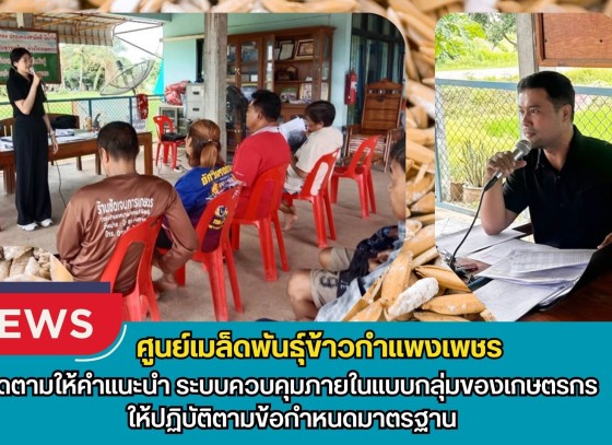 กำแพงเพชร-ศูนย์เมล็ดพันธุ์ข้าวกำแพงเพชร ติดตามให้คำแนะนำ ระบบควบคุมภายในแบบกลุ่มของเกษตรกร ให้ปฏิบัติตามข้อกำหนดมาตรฐาน