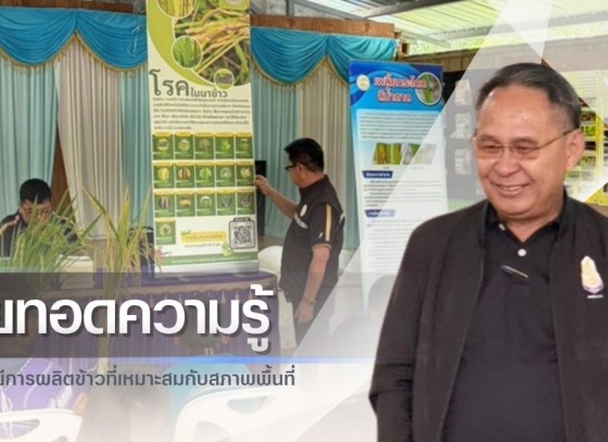 กำแพงเพชร-ศูนย์เมล็ดพันธุ์ข้าวกำแพงเพชร จัดประชุมถ่ายทอดความรู้เทคโนโลยีการผลิตข้าวที่เหมาะสมกับสภาพพื้นที่