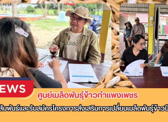 กำแพงเพชร-ศูนย์เมล็ดพันธุ์ข้าวกำแพงเพชร ประชาสัมพันธ์และรับสมัครโครงการส่งเสริมการเปลี่ยนเมล็ดพันธุ์ข้าวปี 2569