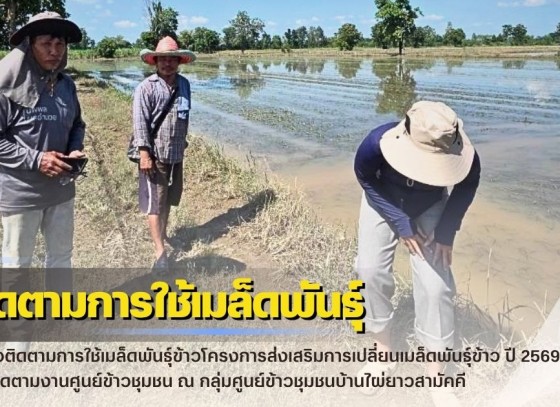 กำแพงเพชร-ศูนย์เมล็ดพันธุ์ข้าวกำแพงเพชร ตรวจติดตามการใช้เมล็ดพันธุ์ข้าวโครงการส่งเสริมการเปลี่ยนเมล็ดพันธุ์ข้าว ปี 2569 และติดตามงานศูนย์ข้าวชุมชน