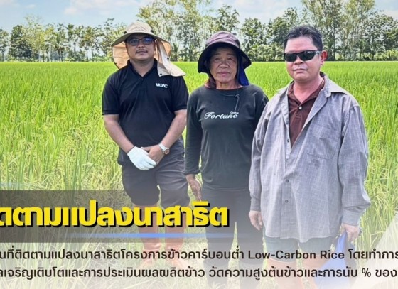 กำแพงเพชร-ศูนย์เมล็ดพันธุ์ข้าวกำแพงเพชร ลงพื้นที่ติดตามแปลงนาสาธิตโครงการข้าวคาร์บอนต่ำ “Low-Carbon Rice”