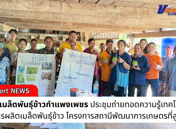 กำแพงเพชร-ศูนย์เมล็ดพันธุ์ข้าวกำแพงเพชร ประชุมถ่ายทอดความรู้เทคโนโลยี การผลิตเมล็ดพันธุ์ข้าว โครงการสถานีพัฒนาการเกษตรที่สูง