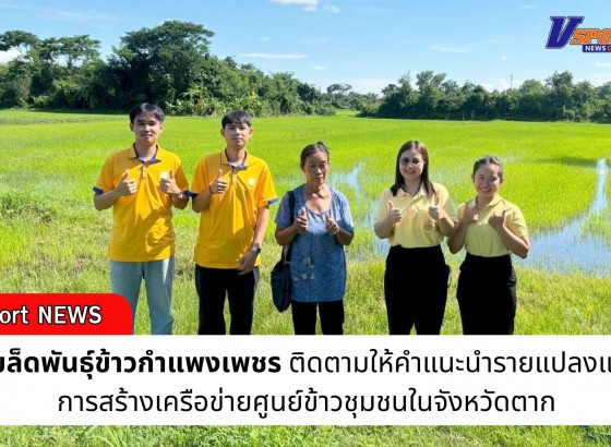 กำแพงเพชร-ศูนย์เมล็ดพันธุ์ข้าวกำแพงเพชร ติดตามให้คำแนะนำรายแปลงและดูแลการสร้างเครือข่ายศูนย์ข้าวชุมชนในจังหวัดตาก