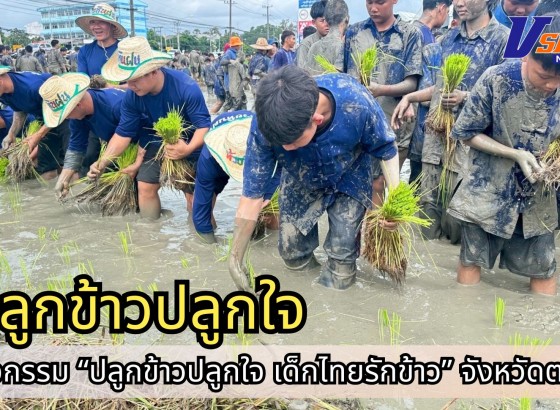 กำแพงเพชร-ศูนย์เมล็ดพันธุ์ข้าวกำแพงเพชร จัดกิจกรรม “ปลูกข้าวปลูกใจ เด็กไทยรักข้าว”
