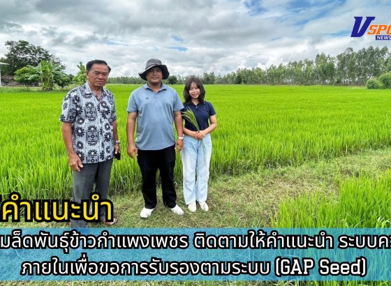 กำแพงเพชร-ศูนย์เมล็ดพันธุ์ข้าวกำแพงเพชร ติดตามให้คำแนะนำ ระบบควบคุมภายในเพื่อขอการรับรองตามระบบ (GAP Seed)