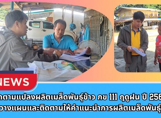 กำแพงเพชร-ศูนย์เมล็ดพันธุ์ข้าวกำแพงเพชร ติดตามแปลงผลิตเมล็ดพันธุ์ข้าว กข111 ฤดูฝน ปี 2568 และวางแผนและติดตามให้คำแนะนำการผลิตเมล็ดพันธุ์ข้าว