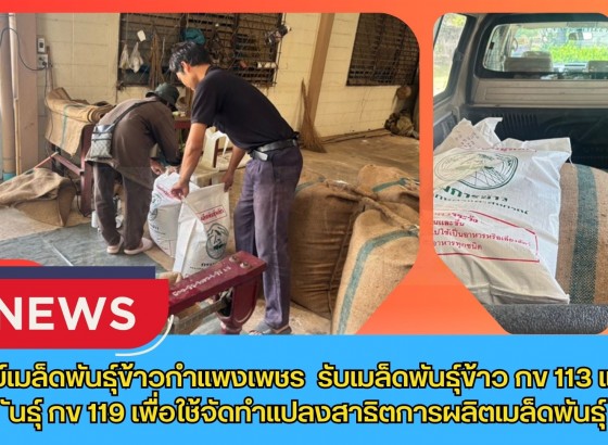 กำแพงเพชร-ศูนย์เมล็ดพันธุ์ข้าวกำแพงเพชร รับเมล็ดพันธุ์ข้าว กข113 และพันธุ์ กข119 เพื่อใช้จัดทำแปลงสาธิตการผลิตเมล็ดพันธุ์