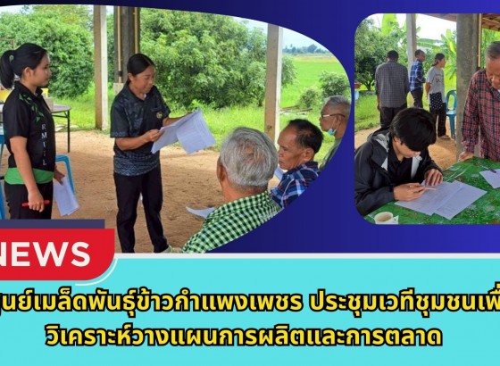กำแพงเพชร-ศูนย์เมล็ดพันธุ์ข้าวกำแพงเพชร ประชุมเวทีชุมชนเพื่อวิเคราะห์วางแผนการผลิตและการตลาด