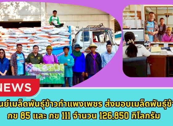 กำแพงเพชร-ศูนย์เมล็ดพันธุ์ข้าวกำแพงเพชร ส่งมอบเมล็ดพันธุ์ข้าว กข85 และ กข111 จำนวน 126,850 กิโลกรัม ภายใต้โครงการส่งเสริมการเปลี่ยนเมล็ดพันธุ์ข้าว ปี 2569