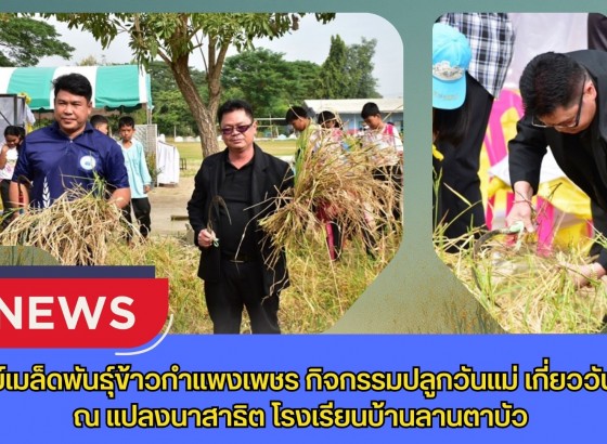 กำแพงเพชร-ศูนย์เมล็ดพันธุ์ข้าวกำแพงเพชร กิจกรรมปลูกวันแม่ เกี่ยววันพ่อ ณ แปลงนาสาธิต โรงเรียนบ้านลานตาบัว ณ ตำบล ประชาสุขสันต์ อำเภอลานกระบือ