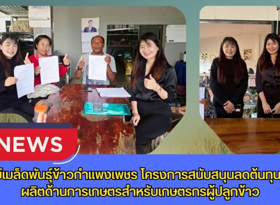 กำแพงเพชร-ศูนย์เมล็ดพันธุ์ข้าวกำแพงเพชร โครงการสนับสนุนลดต้นทุนการผลิตด้านการเกษตรสำหรับเกษตรกรผู้ปลูกข้าว