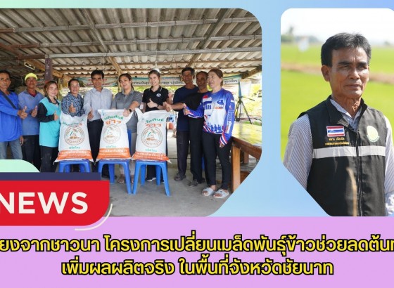 เสียงจากชาวนา โครงการเปลี่ยนเมล็ดพันธุ์ข้าวช่วยลดต้นทุน–เพิ่มผลผลิตจริงในพื้นที่จังหวัดชัยนาท