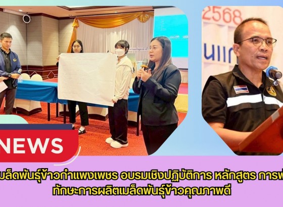 กำแพงเพชร-ศูนย์เมล็ดพันธุ์ข้าวกำแพงเพชร อบรมเชิงปฏิบัติการ หลักสูตร การพัฒนาทักษะการผลิตเมล็ดพันธุ์ข้าวคุณภาพดี