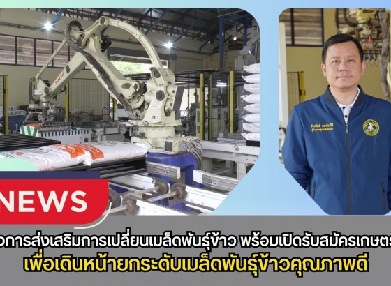 กำแพงเพชร-ศูนย์เมล็ดพันธุ์ข้าวกำแพงเพชร จัดโครงการส่งเสริมการเปลี่ยนเมล็ดพันธุ์ข้าว พร้อมเปิดรับสมัครเกษตรกร เพื่อเดินหน้ายกระดับเมล็ดพันธุ์ข้าวคุณภาพดี