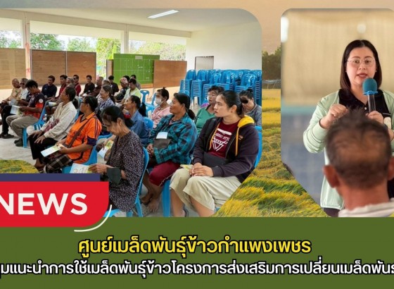 กำแพงเพชร-ศูนย์เมล็ดพันธุ์ข้าวกำแพงเพชร ประชุมแนะนำการใช้เมล็ดพันธุ์ข้าวโครงการส่งเสริมการเปลี่ยนเมล็ดพันธุ์ข้าว ปี 2569
